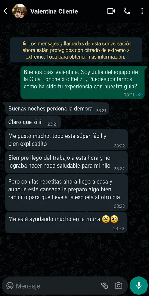 Testimonio 2 - Mamá satisfecha con la Guía Lonchecito Feliz